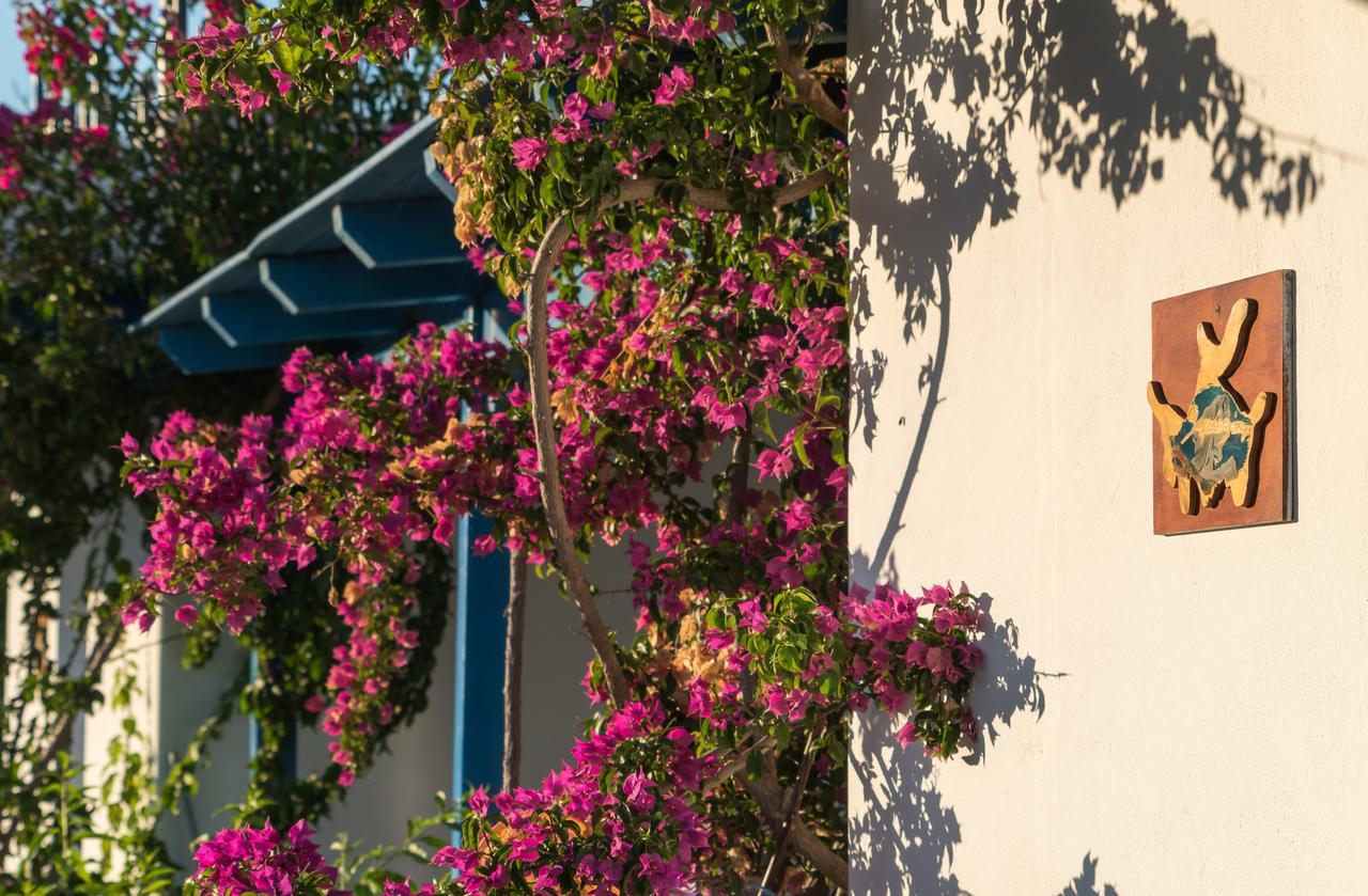 Firoa Studios Donoussa Exterior photo